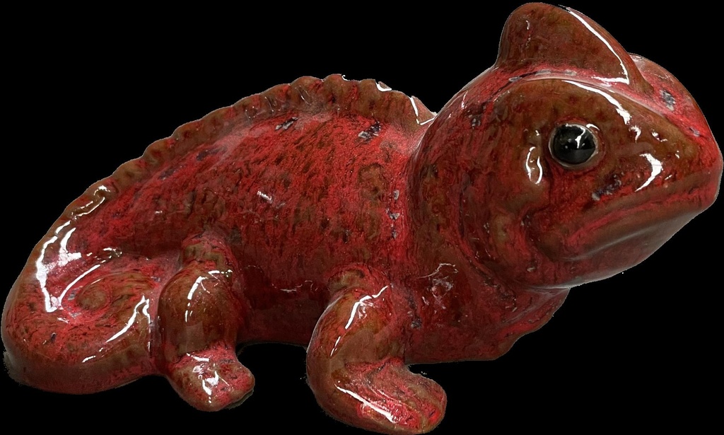 Iguane S