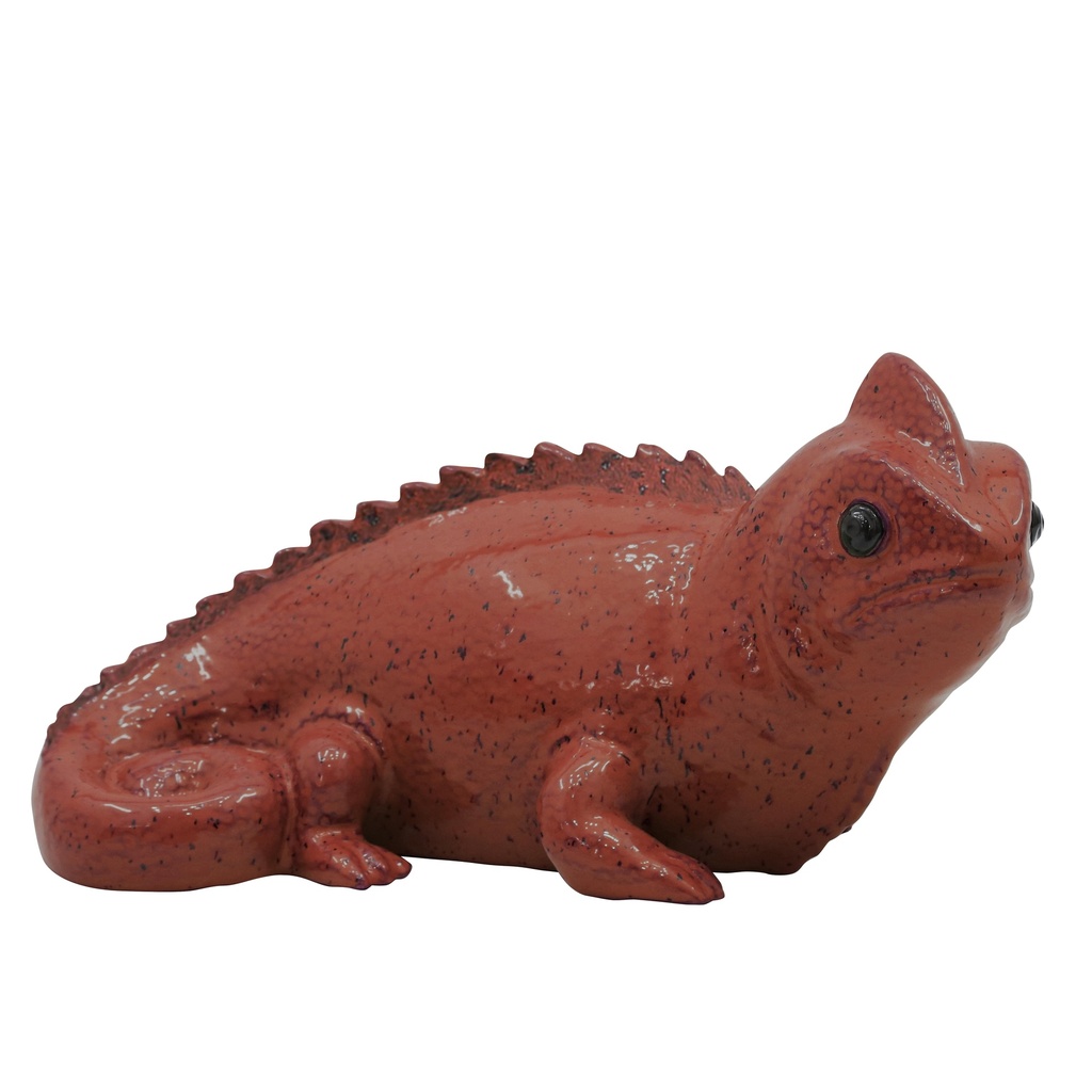 Iguane M