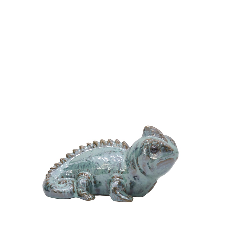 Iguane S