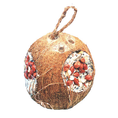 Noix de coco à la graisse