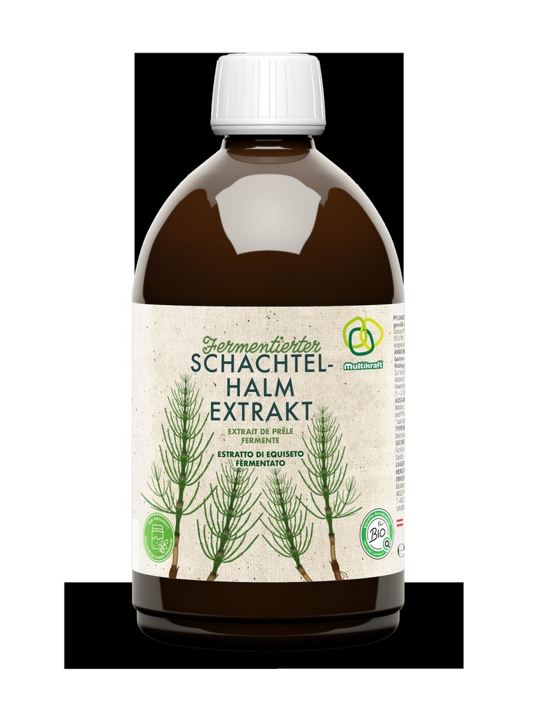 Extrait de prêle fermenté