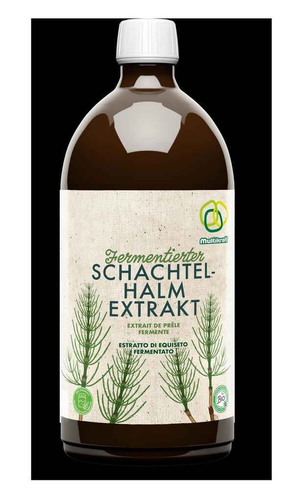 Extrait de prêle fermenté