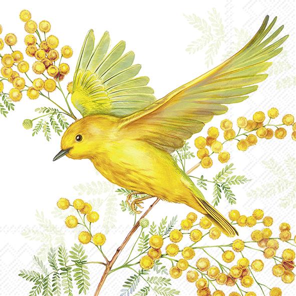 Serviettes Cocktail Joy of Spring