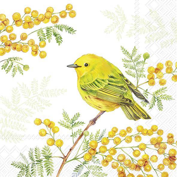 Serviettes Lunch Joy of Spring