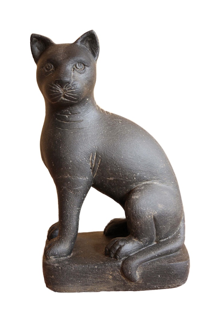 Chat sur Socle
