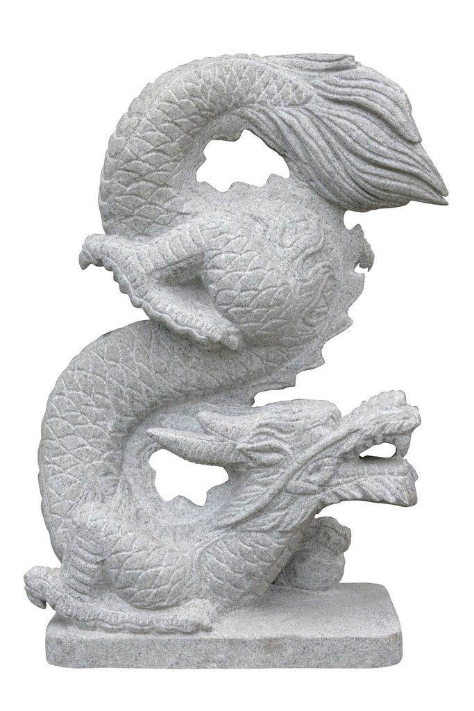 Petit Dragon Dressé