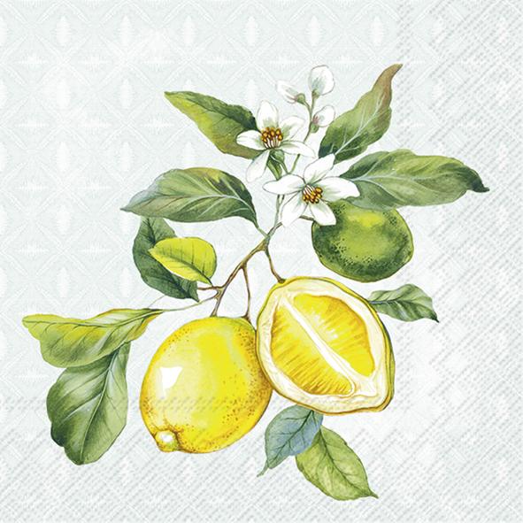 Serviettes Cocktail Lemon Wreath mint