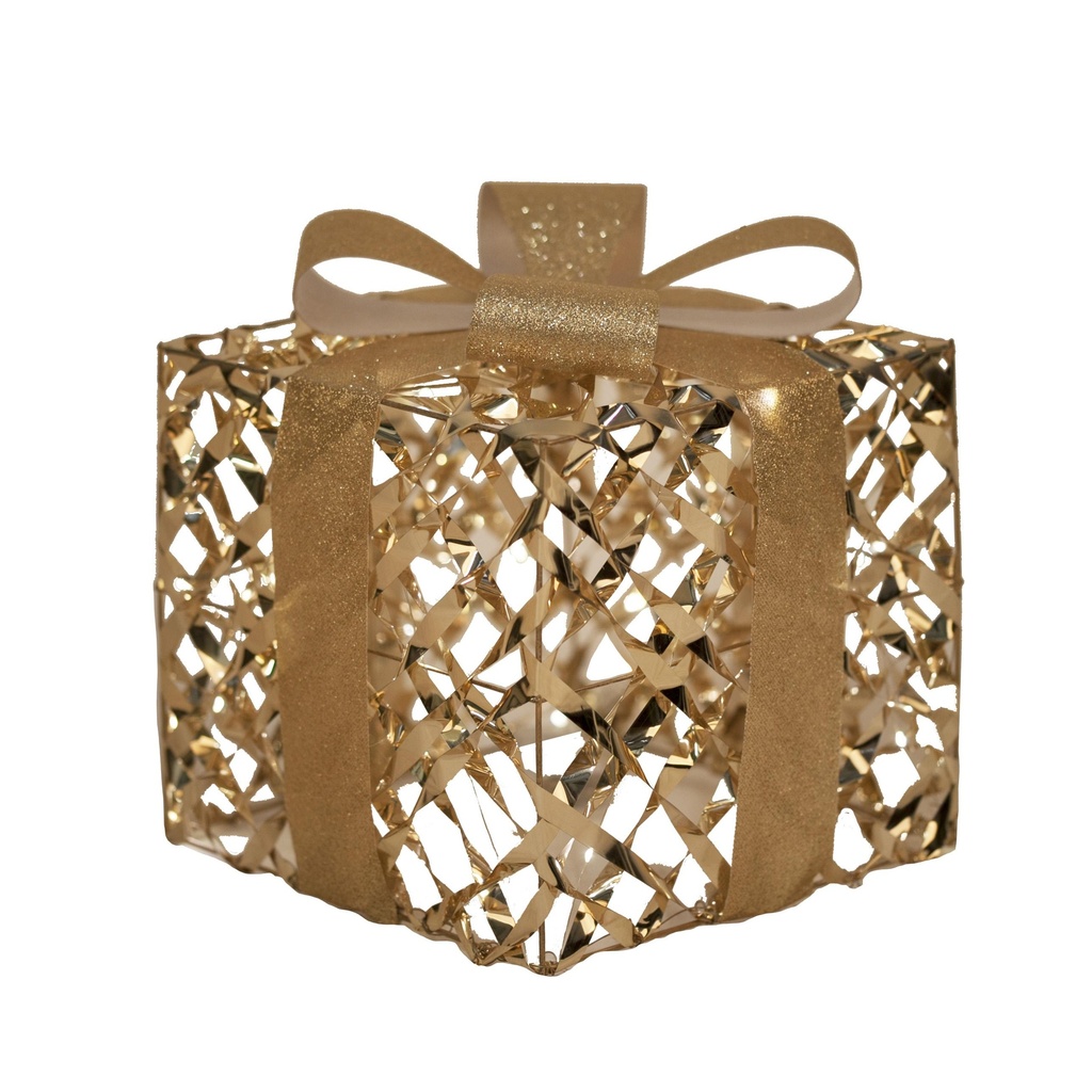 Cadeau lumineux 30 LED chaudes Intérieur à pile