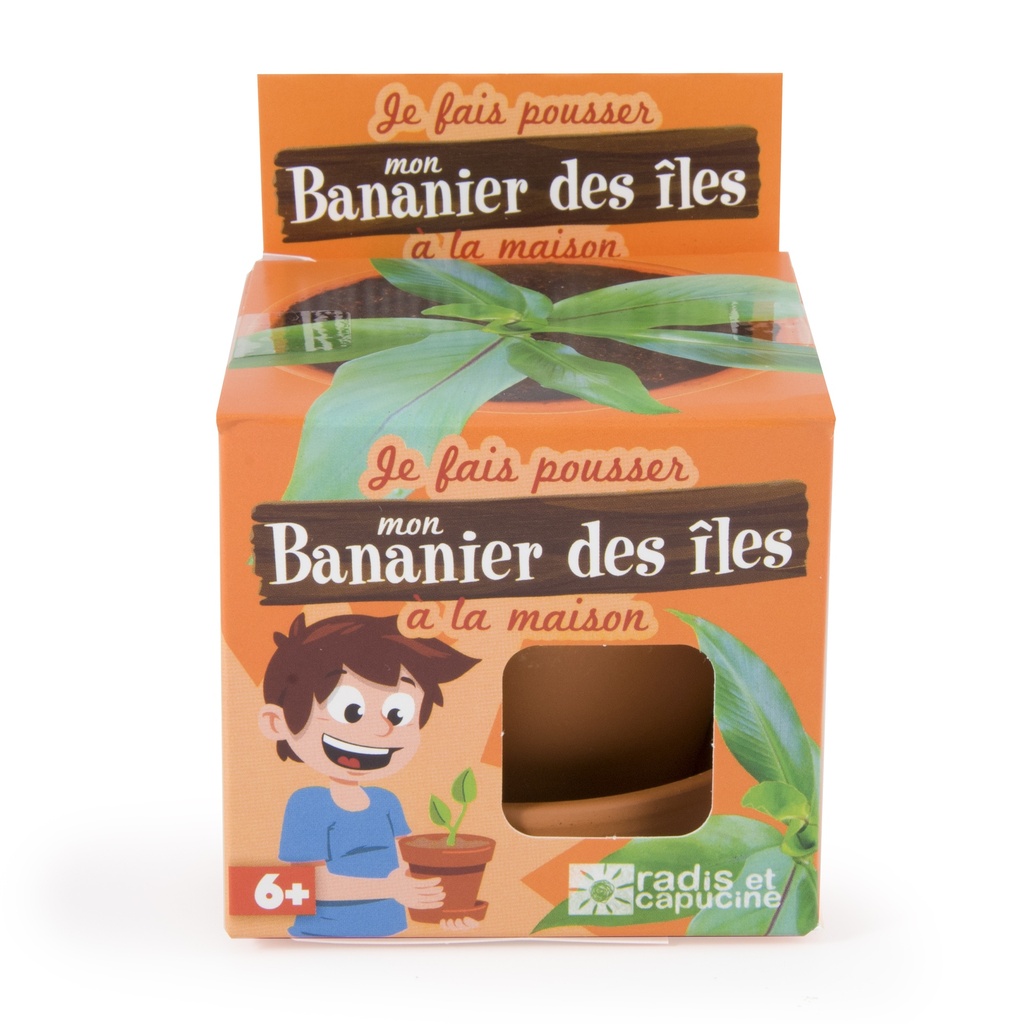 Bananier