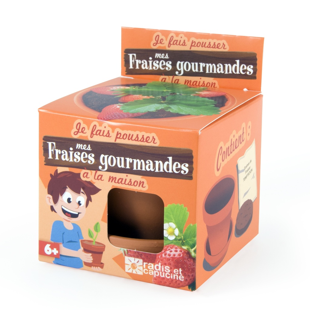 Fraisier