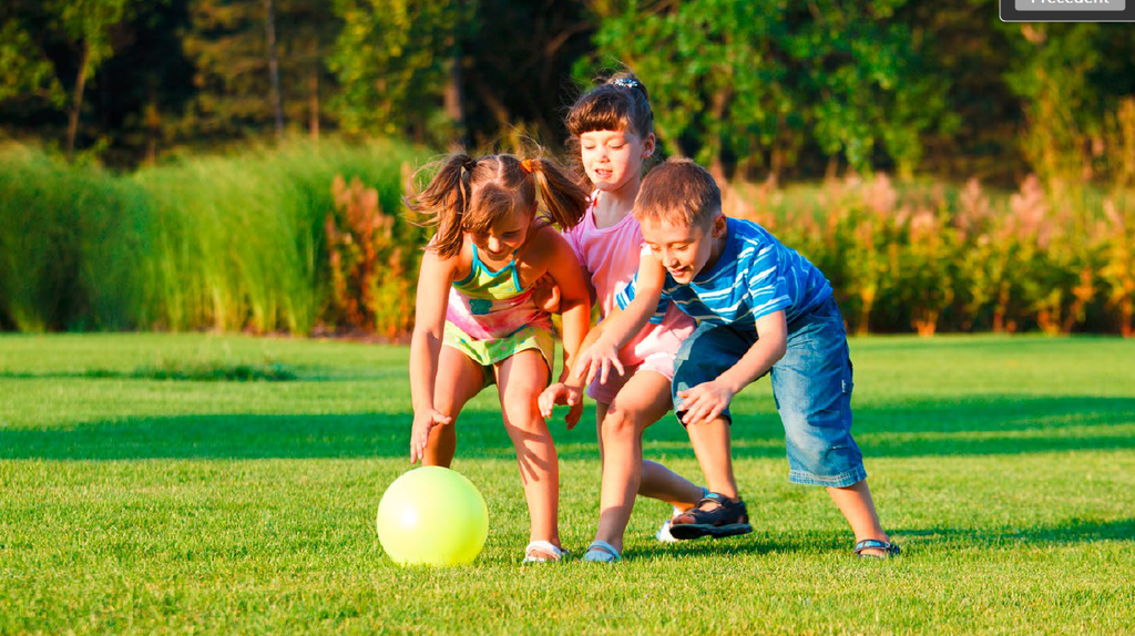 Gazon Uni Lawn Royal 10 Kg