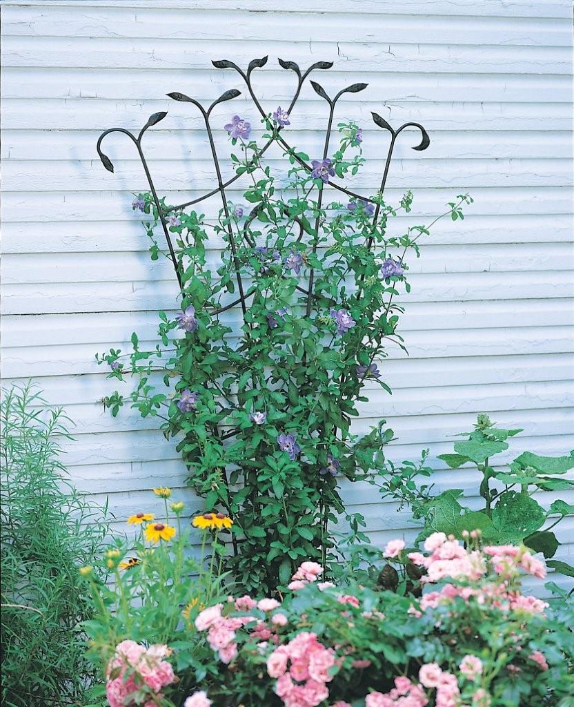 Trellis Fan forgé avec des feuilles, noir