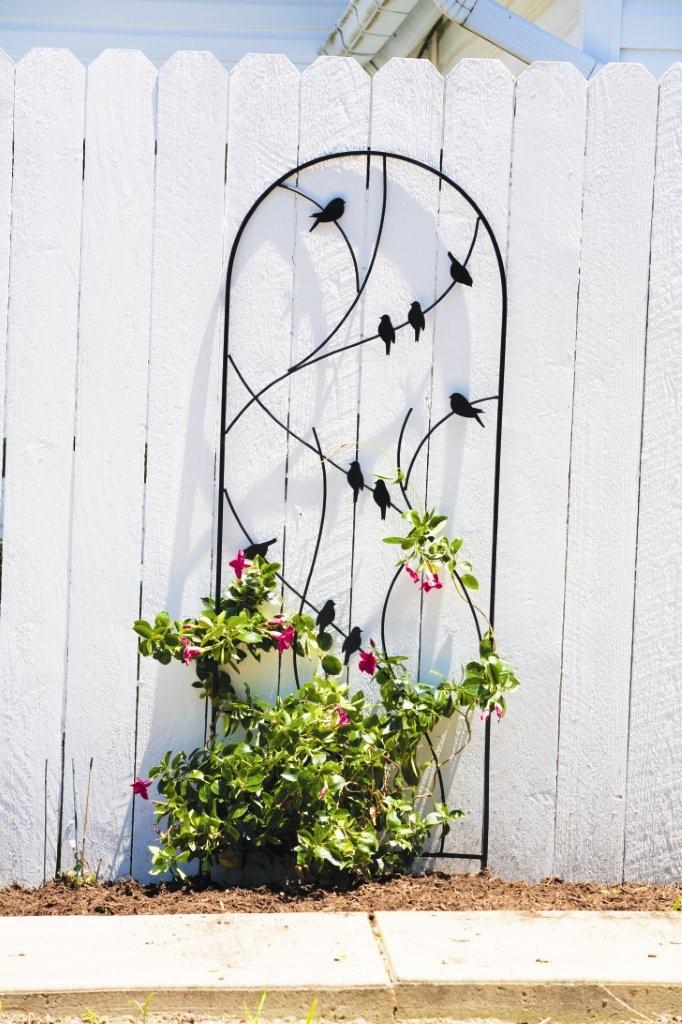 Trellis Oiseaux Perchés, Noir