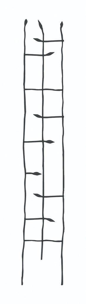 Petit Trellis Twig