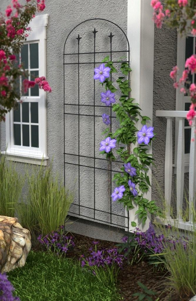 Treillis et lys, noir