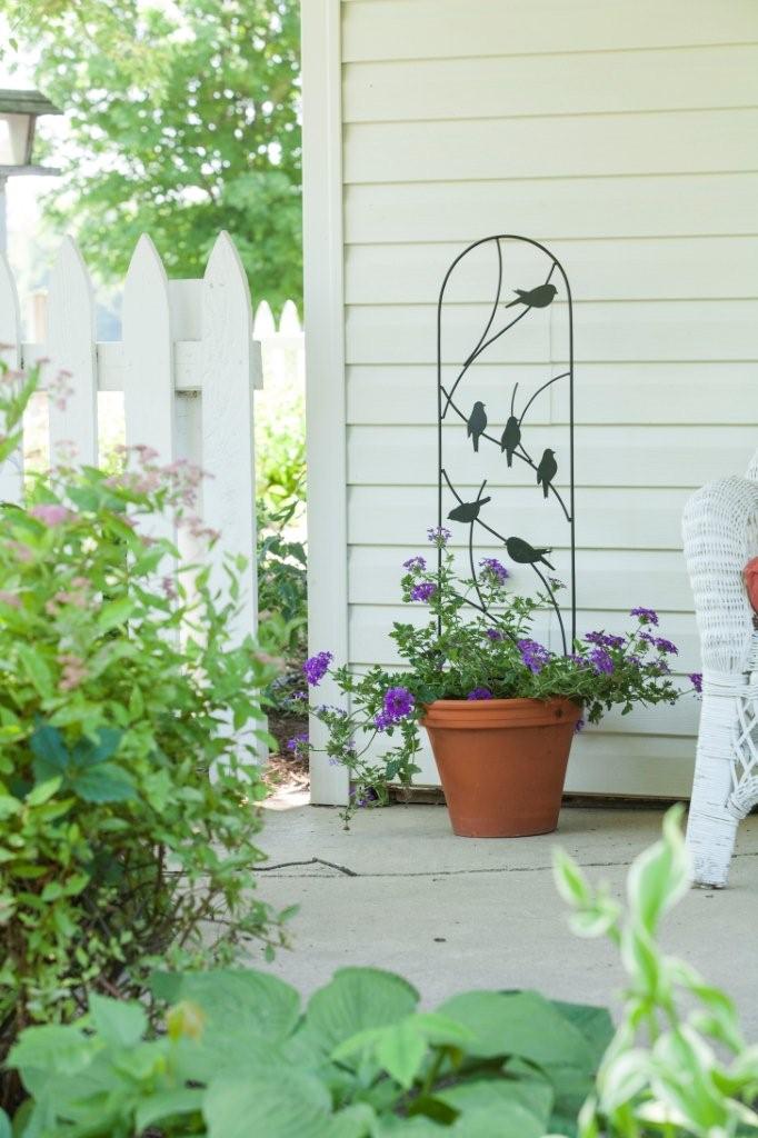 Petit treillis d'oiseaux perchés