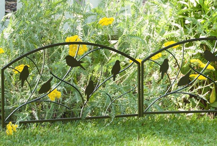 Bordure d'oiseaux perchés