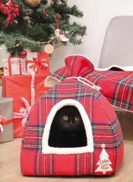 Tipi Xmas Festive 38x38x38cm