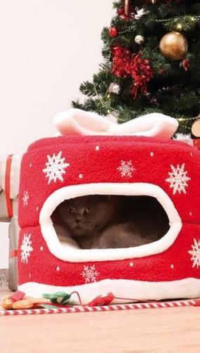 Corbeille cadeau chat 40x40x34cm