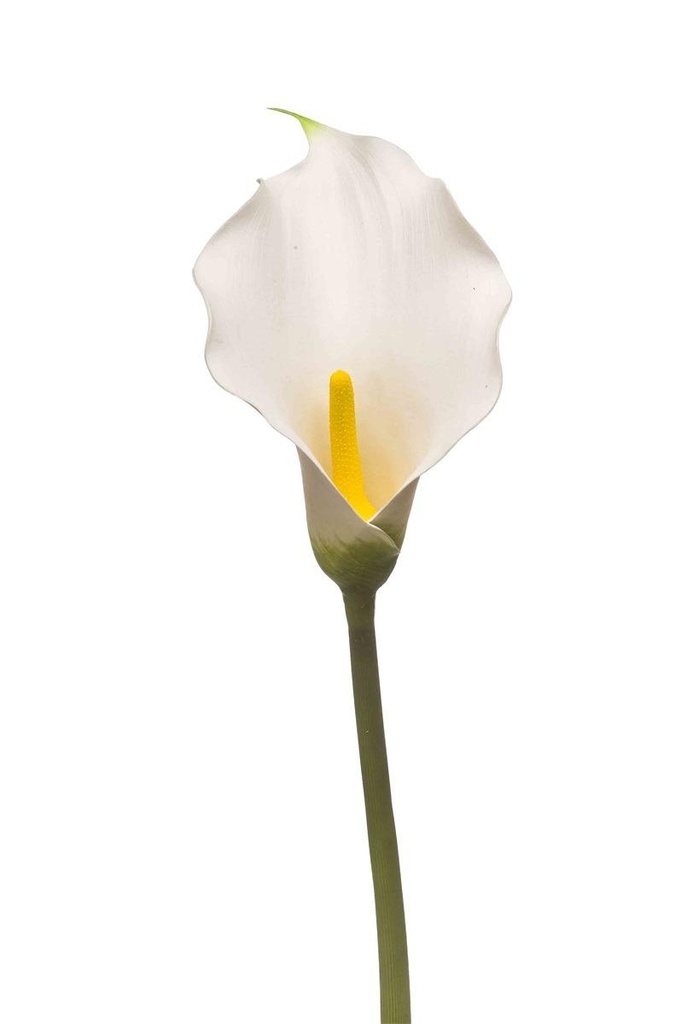 Calla lily en branche artificiel