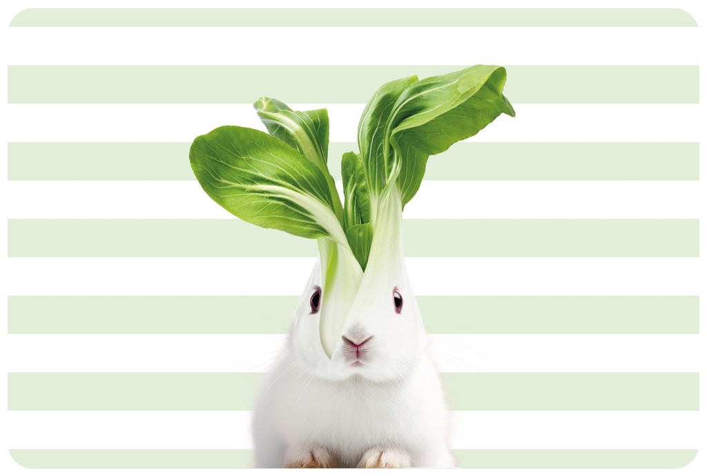 Set de table Rabbit reversible