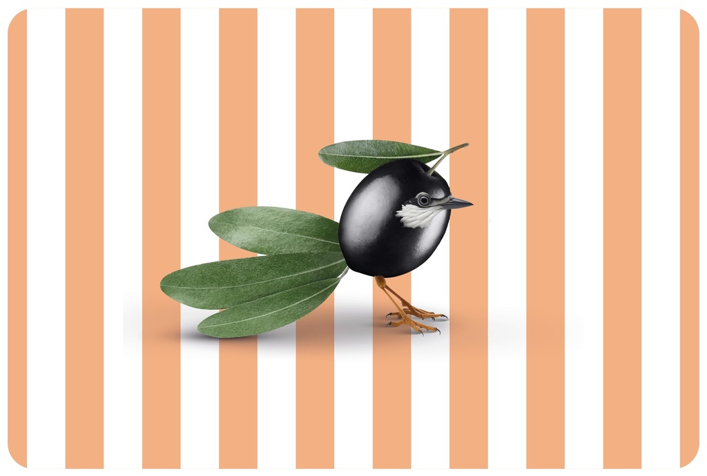 Set de table Olive reversible