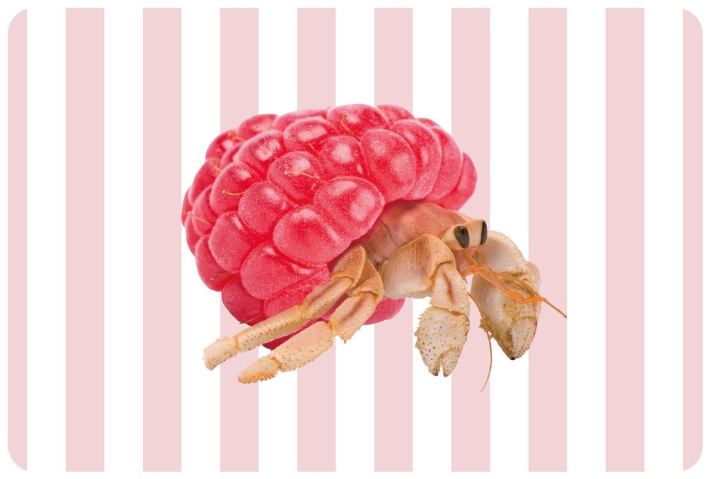 Set de table Hermit crab reversible