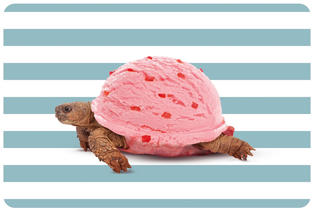 Set de table Turtle reversible