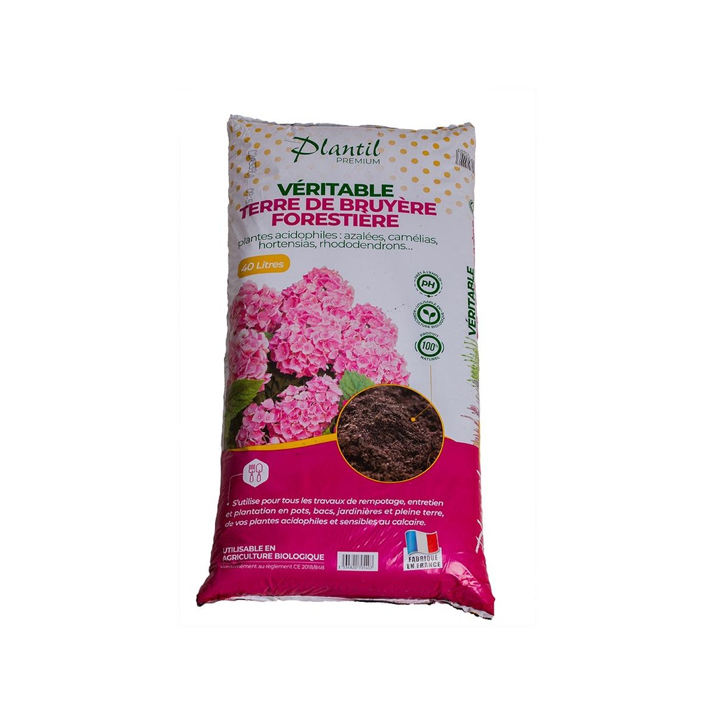 Terre de bruyère forestière