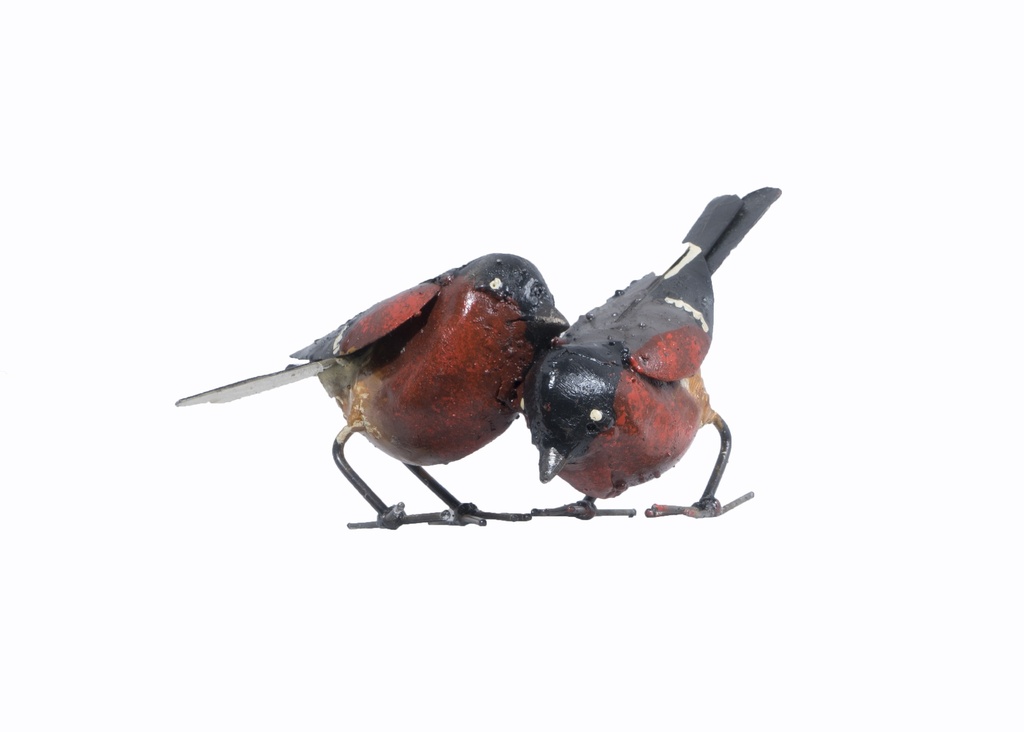 Couple Bouvreuil