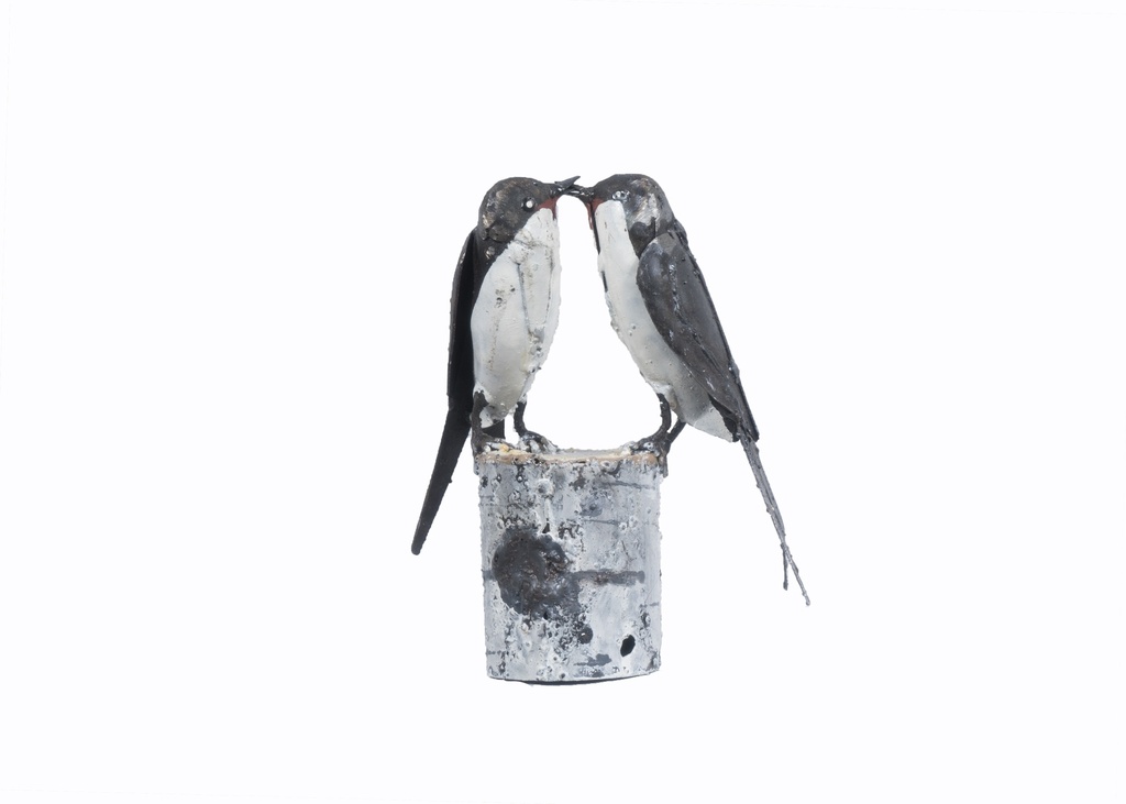 Couple Hirondelle
