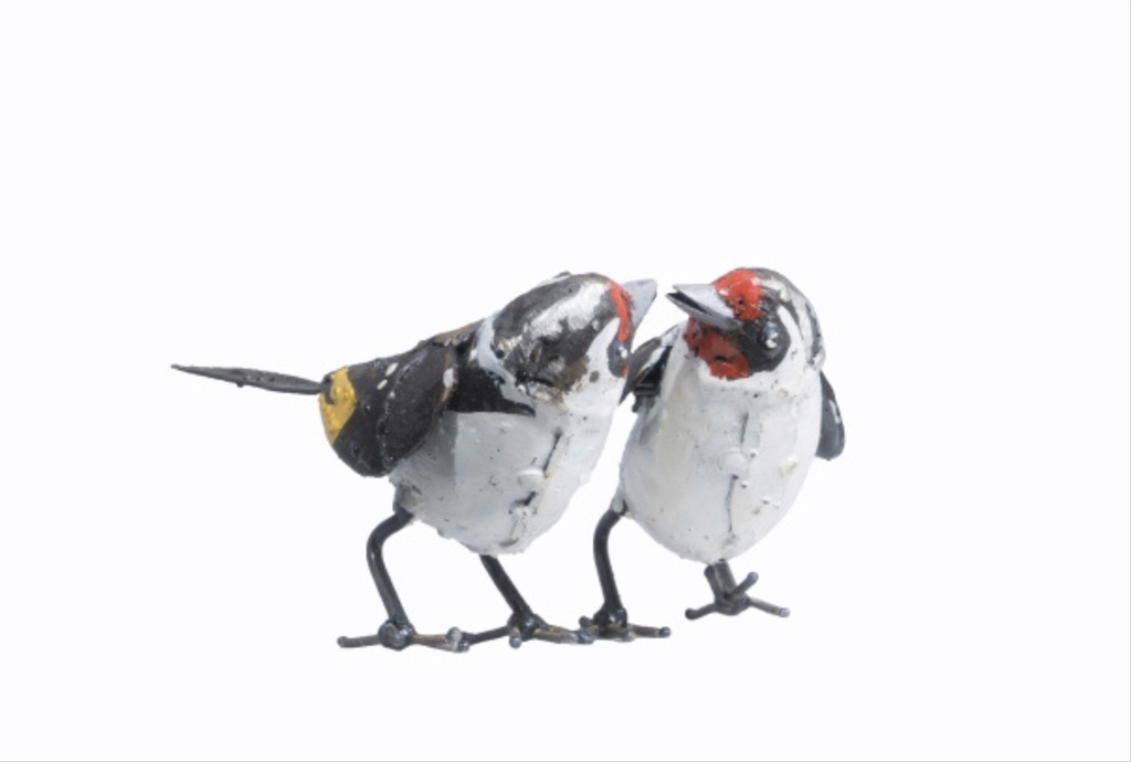 Couple Chardonneret