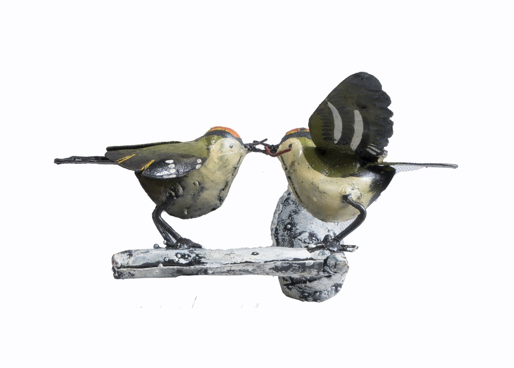 Couple Roitelet Sur Branche