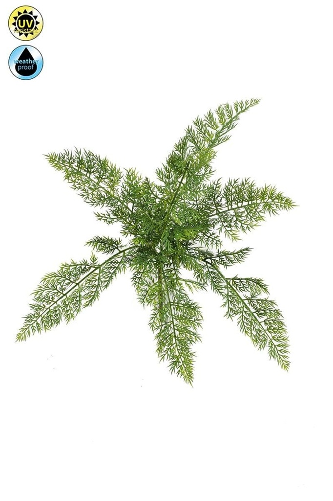 Asparagus résistant UV artificiel