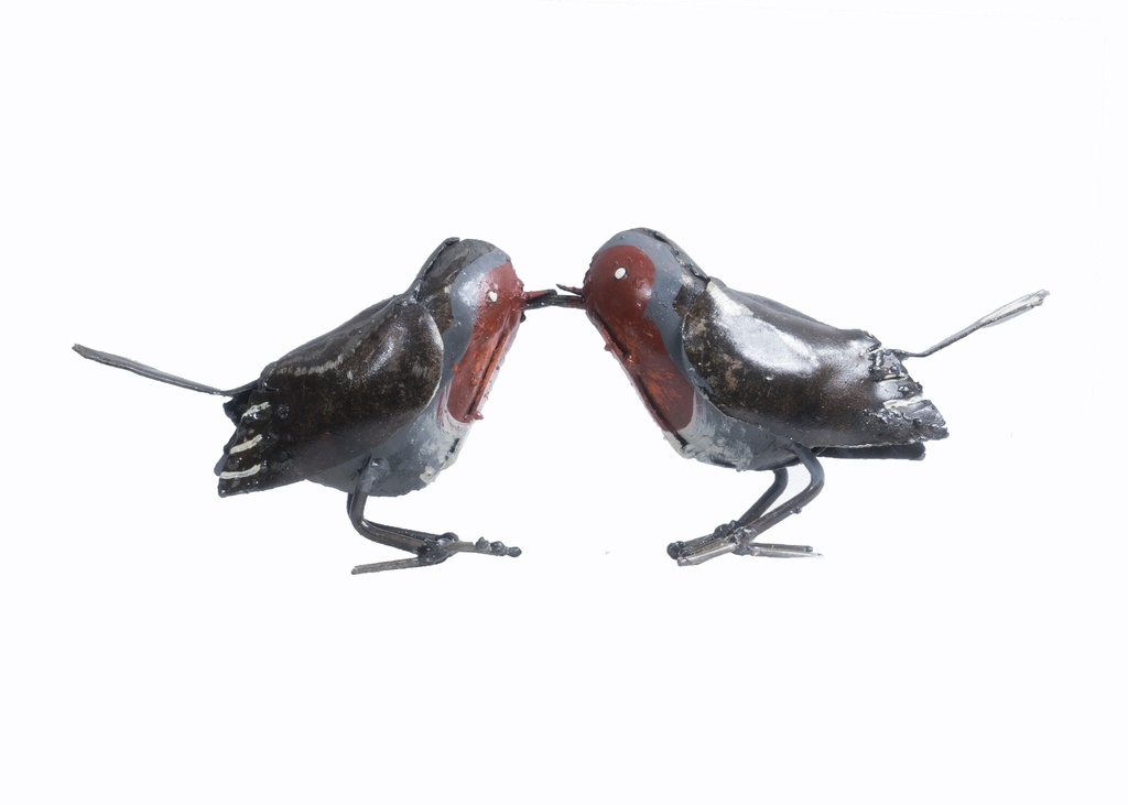 Couple Rouge Gorge