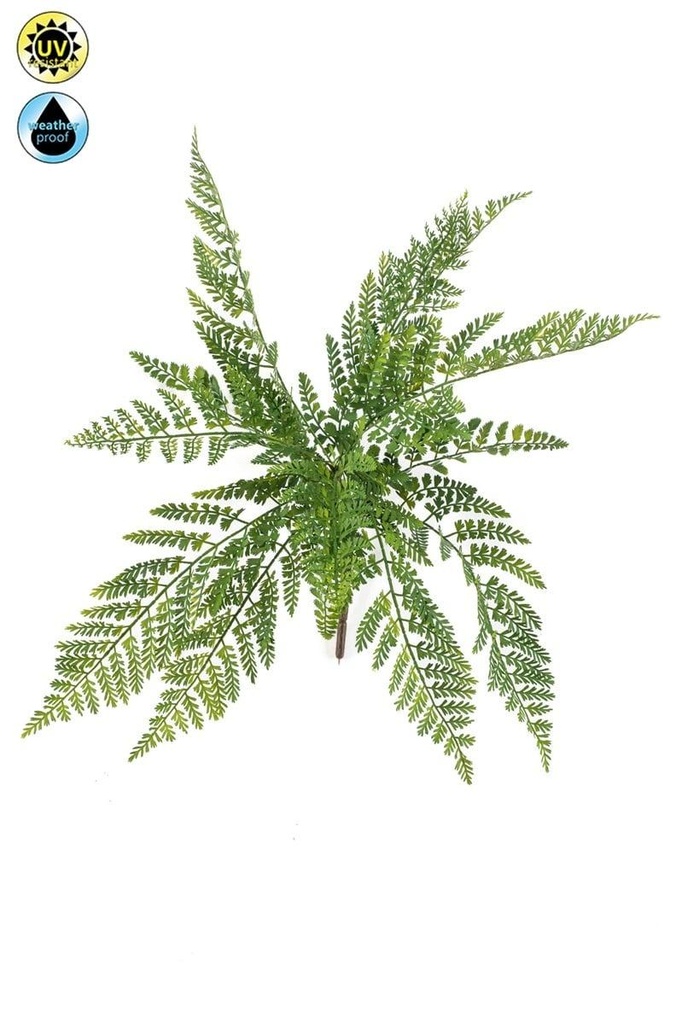 Fougère asplénium résistante UV artificielle