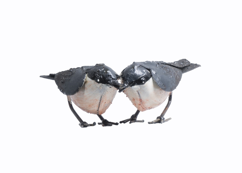 Couple De Sitelle Torchepot