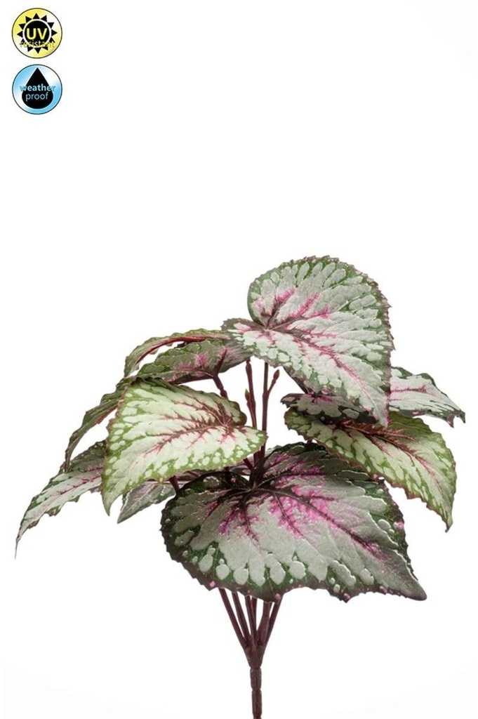 Bégonia rex résistant UV artificiel