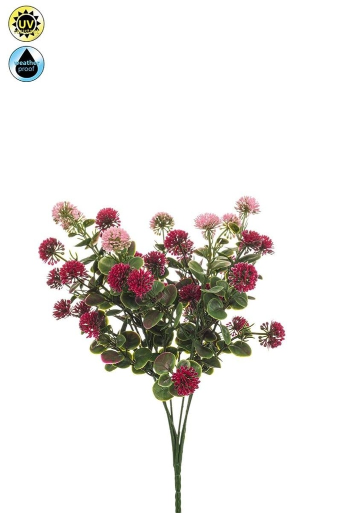 Bellis résistante UV artificielle