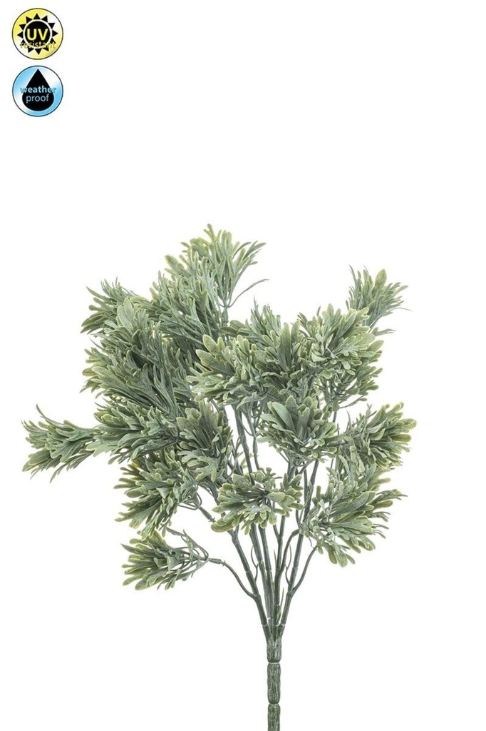 Thym résistant UV artificiel