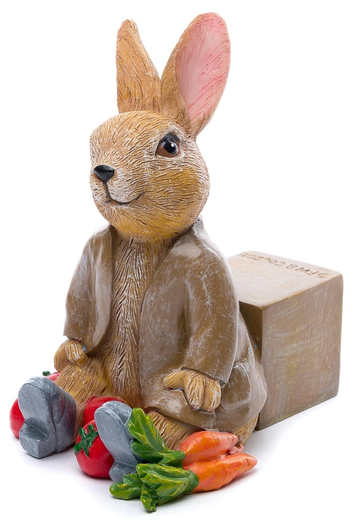 Figurines pieds Déco Lapin Benjamin 2