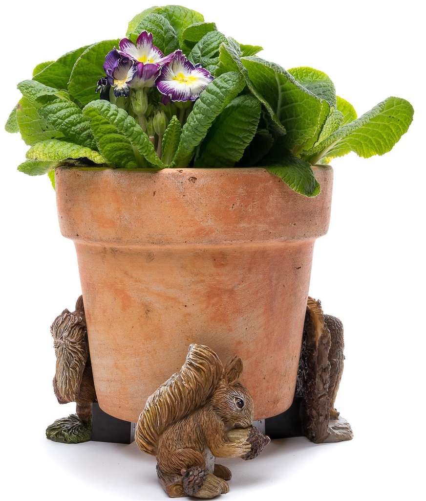 Figurines Pieds Déco Ecureuil Nutkin 4