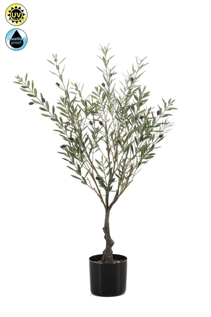 Olivier résistant UV artificiel