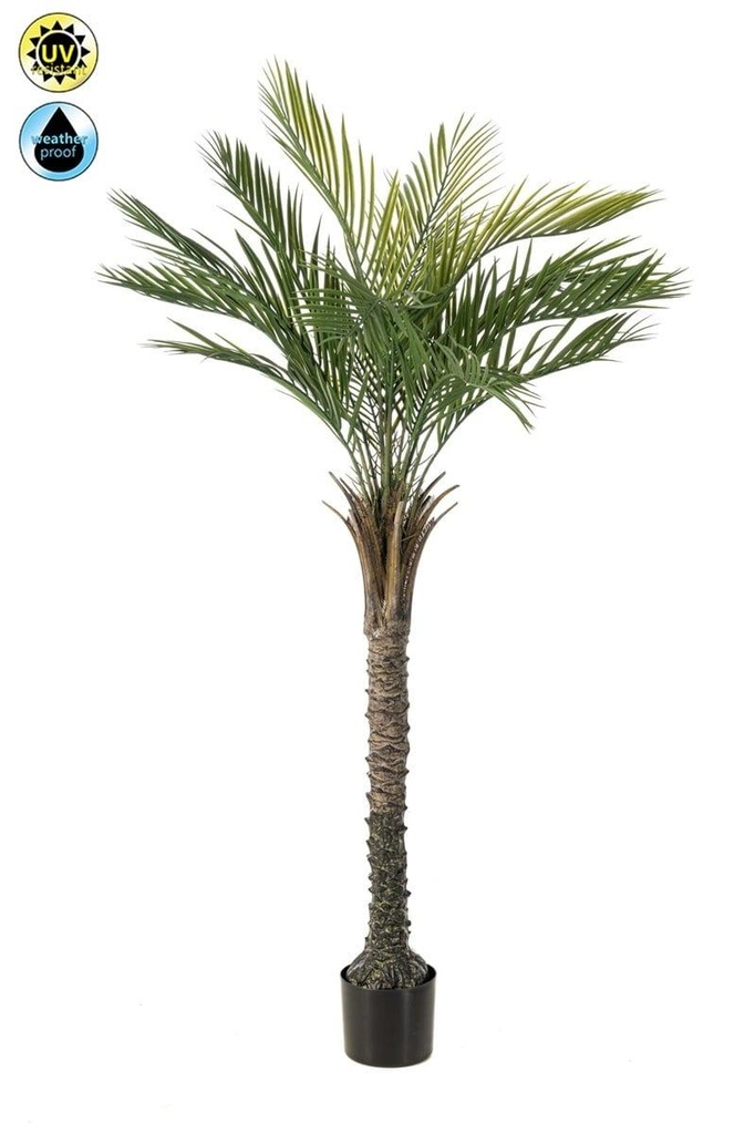 Palmier Phoenix résistant UV artificiel