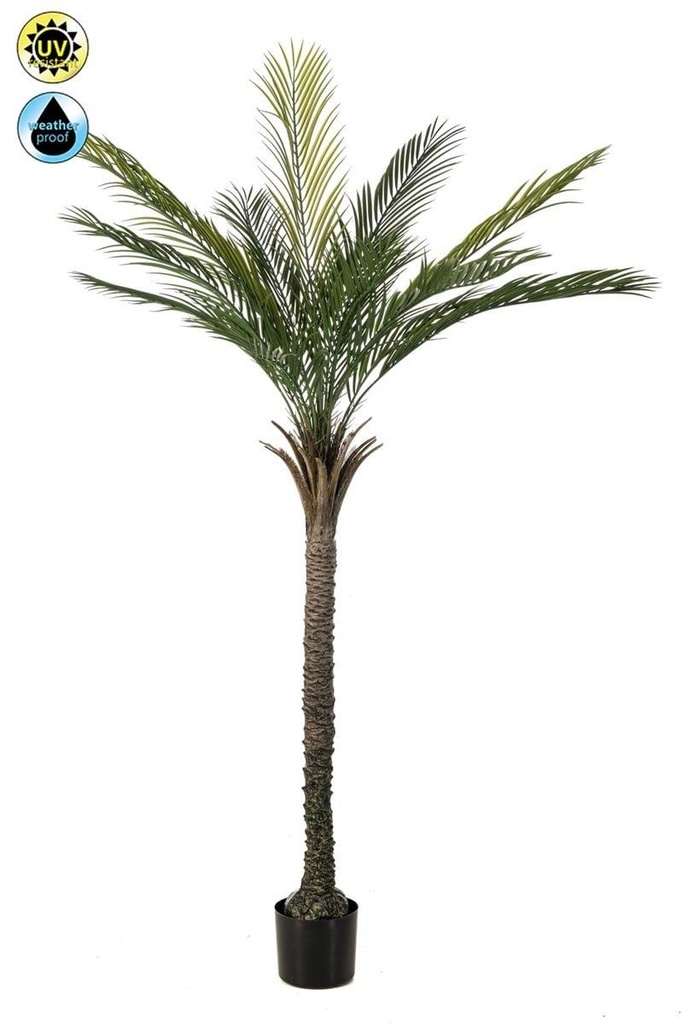 Palmier Phoenix résistant UV artificiel