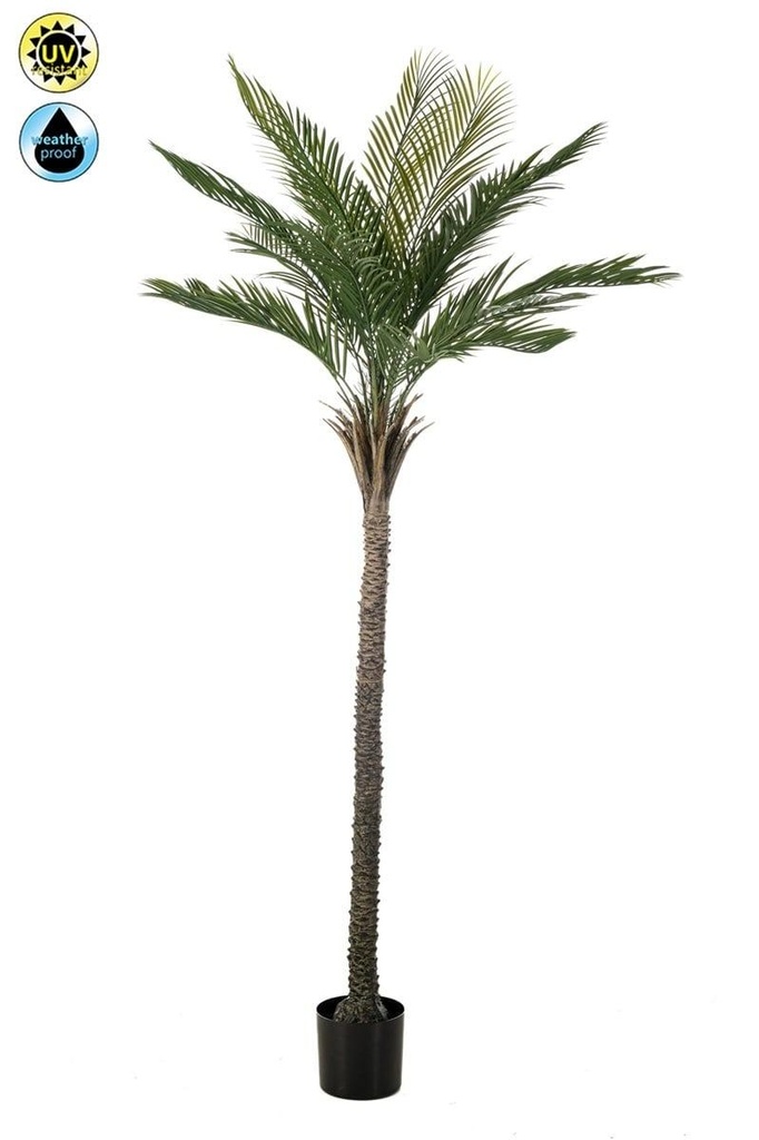 Palmier Phoenix résistant UV artificiel