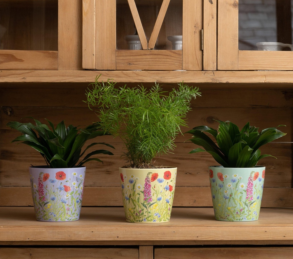 Set de 3 pots Lila Vert et Crème, Prairie, par Iona Buchanan