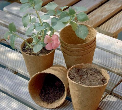 GROWING POT 24 pots ronds 100% biodégradables