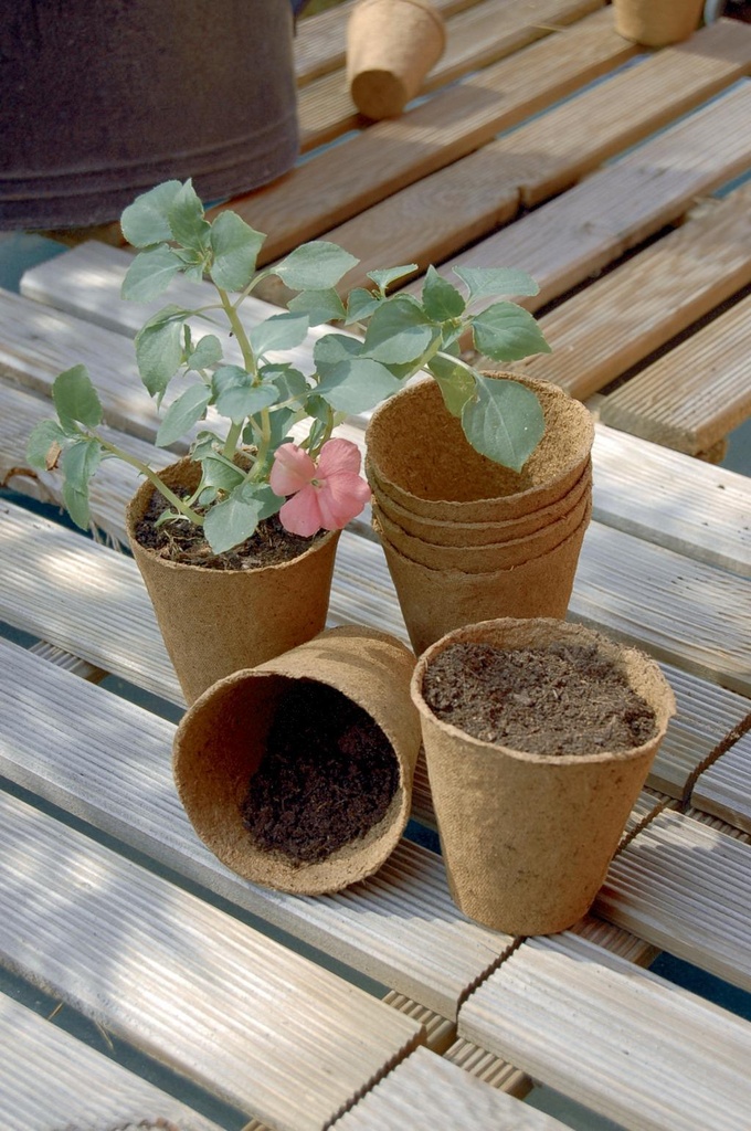 GROWING POT 16 pots ronds 100% biodégradables