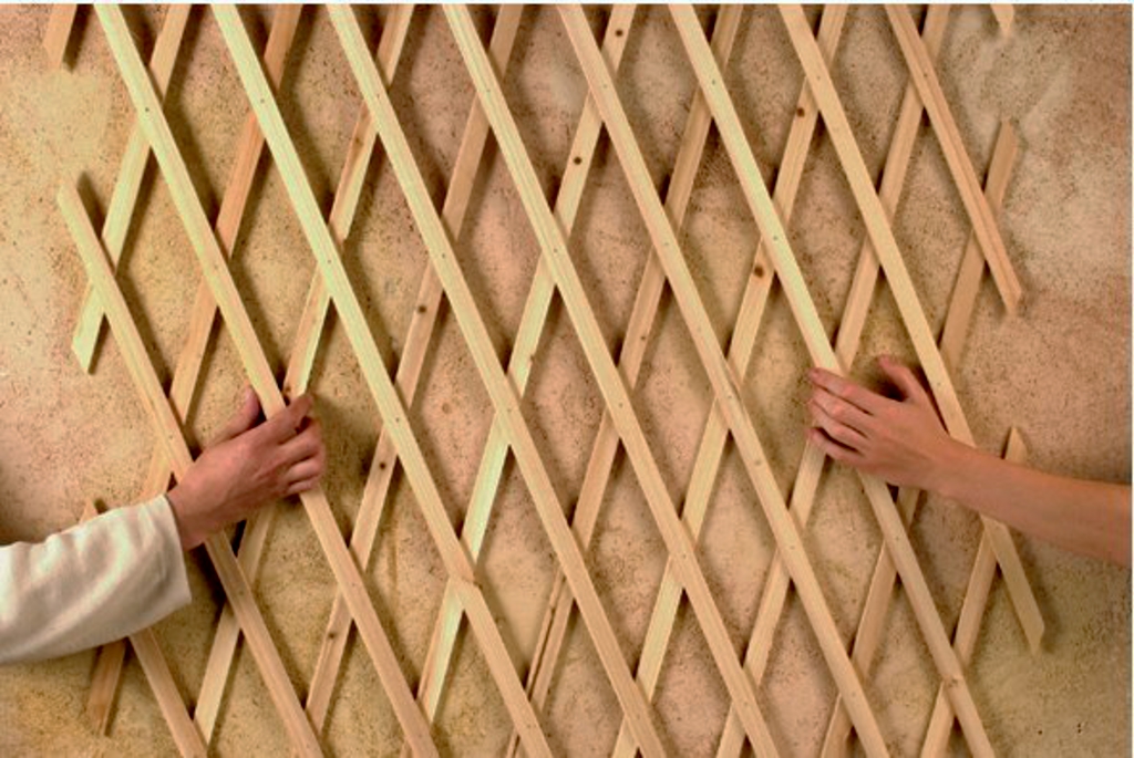 TRELLIWOOD Trellis extensible bois Bois